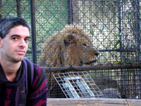 stephen with lion