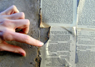 pages stuck to a wall