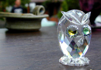 glass owl