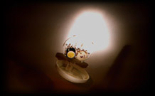 Click here to let the Rock Pillow enter you